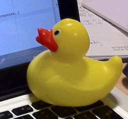 Rubber Duck