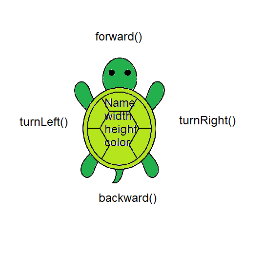 Turtle Attributes and Behaviors