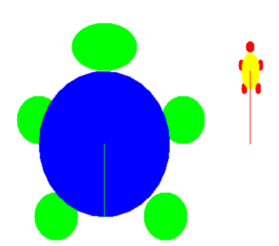 Custom Turtles