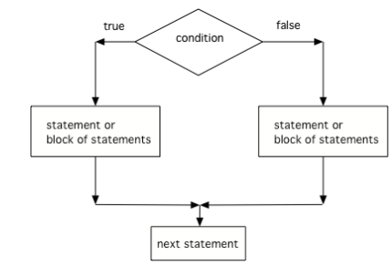 Flowchart for Selection branching the code into two paths