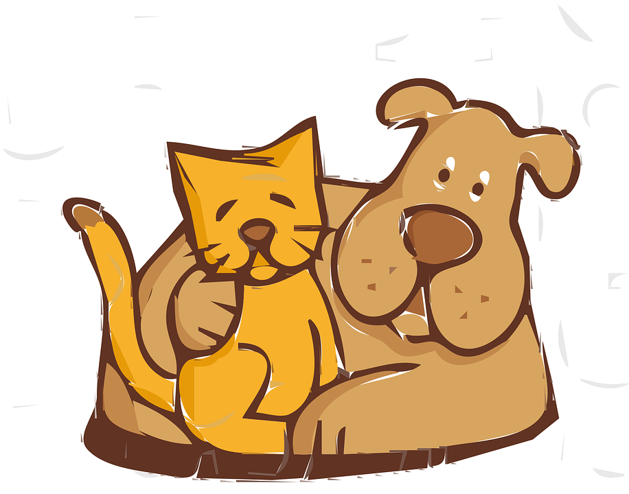 Animal Clinic