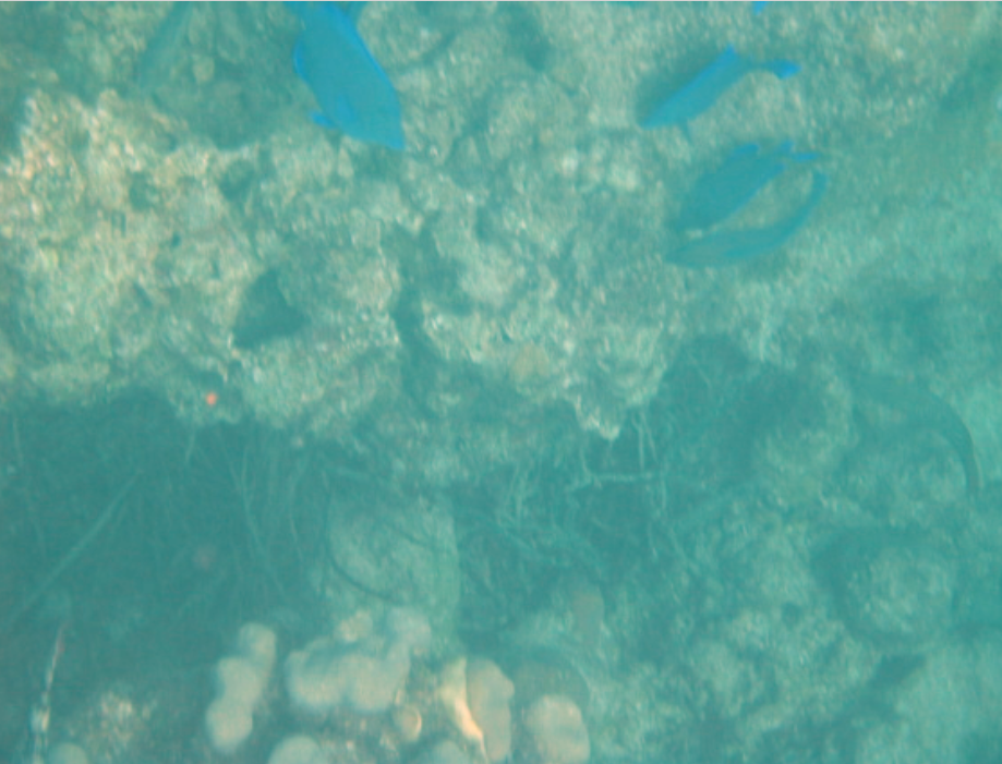 Fixunderwater