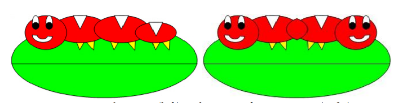 Original picture (left) and picture after mirroring (right)